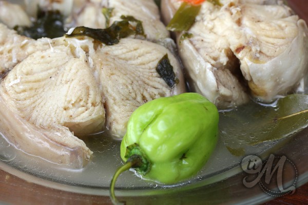 timolokoy-blaff-poisson-13