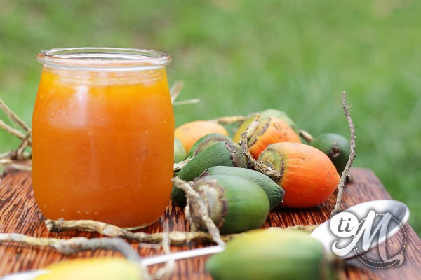 timolokoy-marmelade-parepous-12